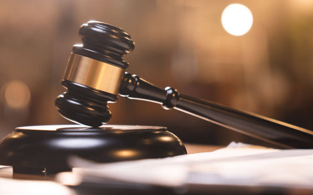 frankowicze pozwy w sadach