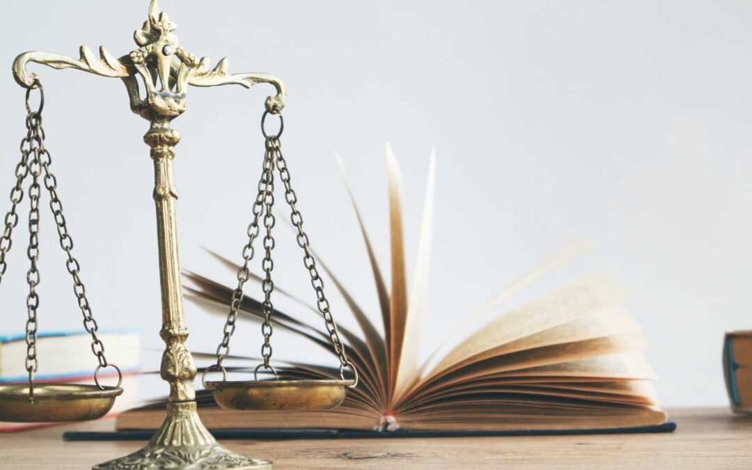 Frankowicze konsumenci vs Frankowicze przedsiębiorcy