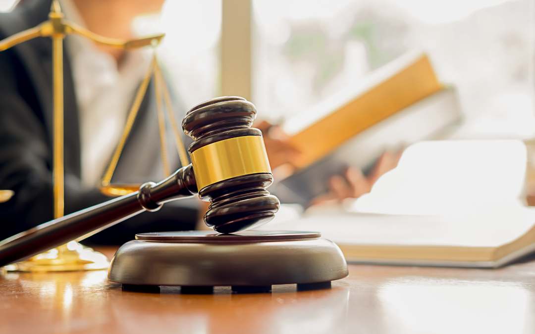 frankowicz przedsiebiorca