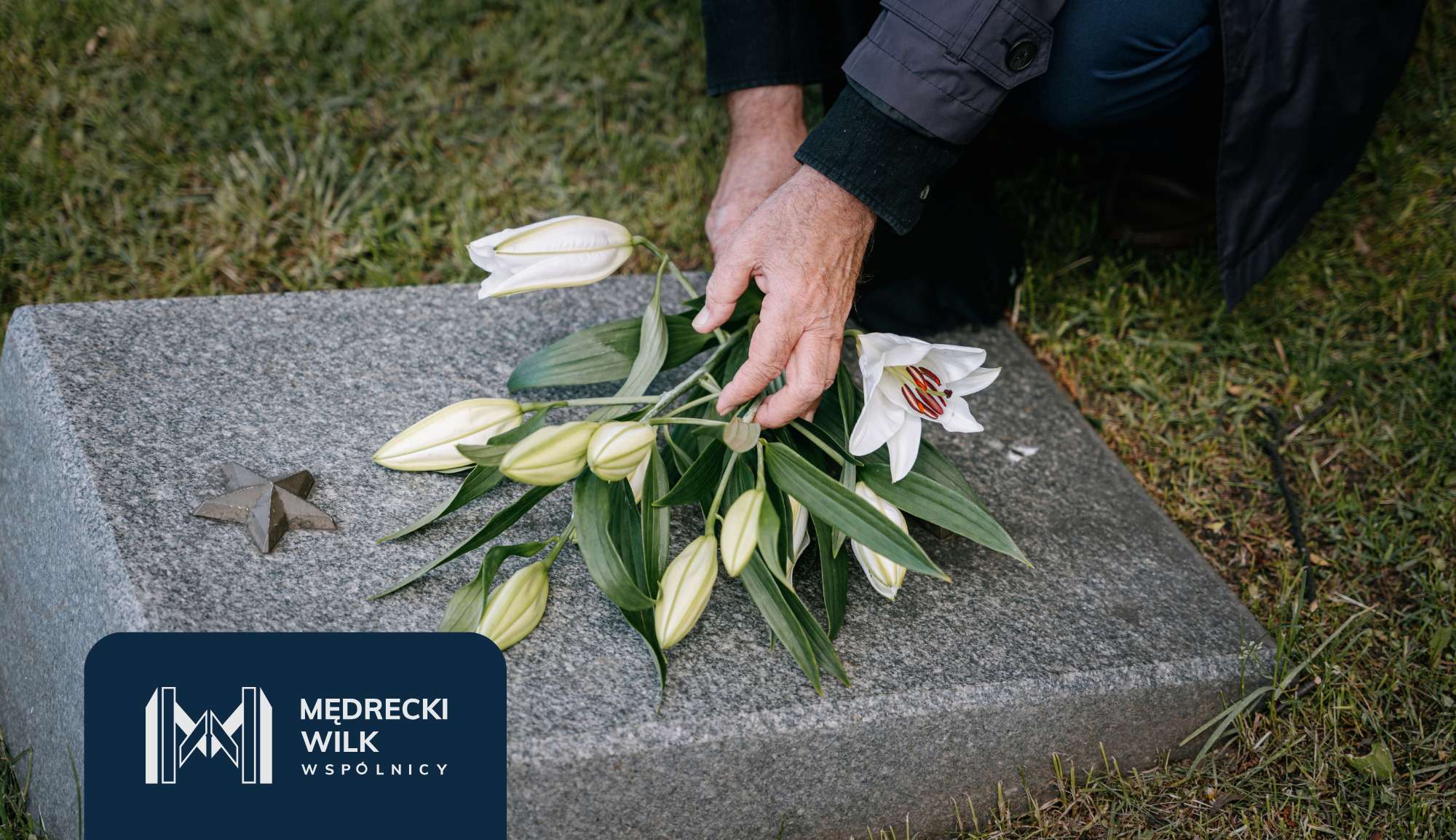 Elderly hand placing white lilies on a gray tombstone during a funeral.
