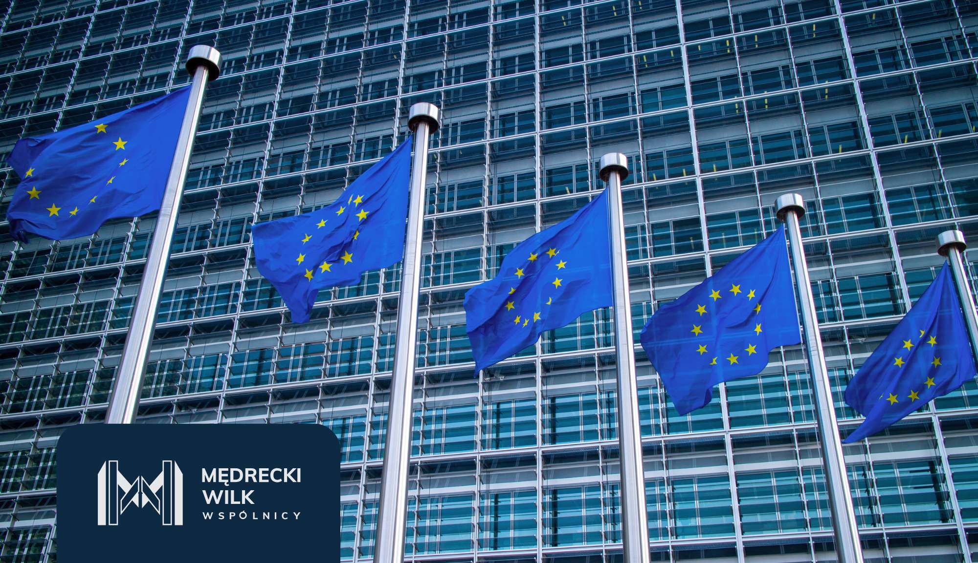 European Union flags on silver flagpoles in front of a glass office building with a dark blue branding panel overlapping the corner of the image.