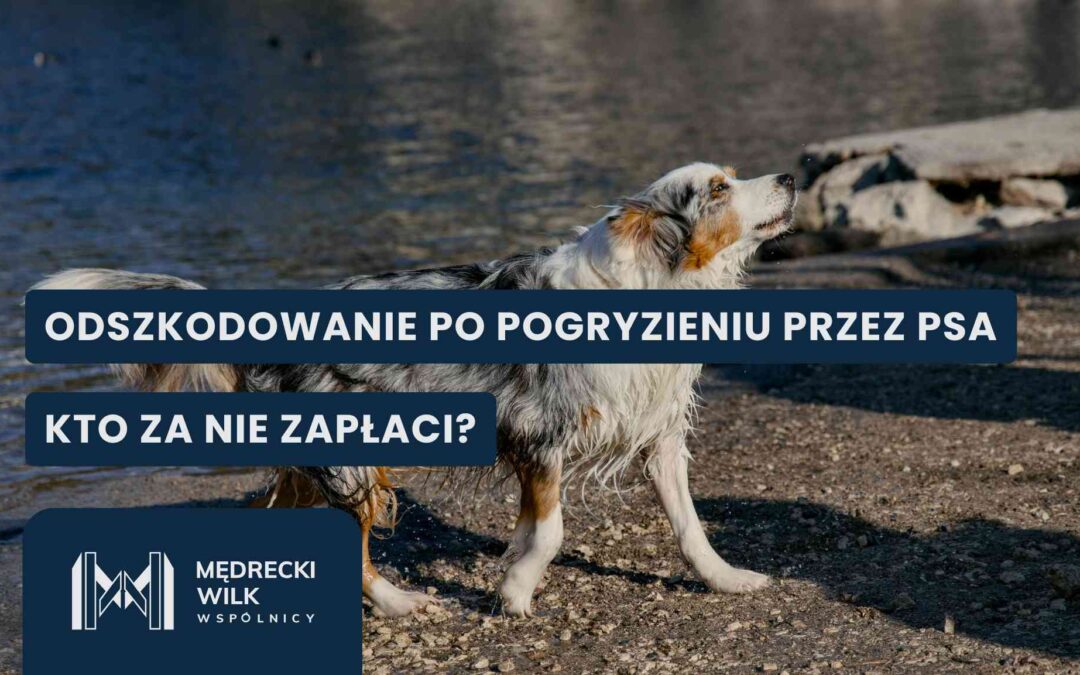 Dog by a lakeshore with large blue banner text in Polish about compensation after a dog bite.