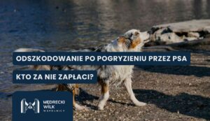 odszkodowanie-po-ugryzieniu-przez-psa Dog by a lakeshore with large blue banner text in Polish about compensation after a dog bite.