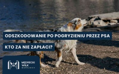 Kto zapłaci odszkodowanie po pogryzieniu przez psa — właściciel, opiekun czy ubezpieczyciel?